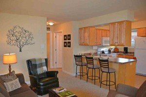 Open Plan Living Space